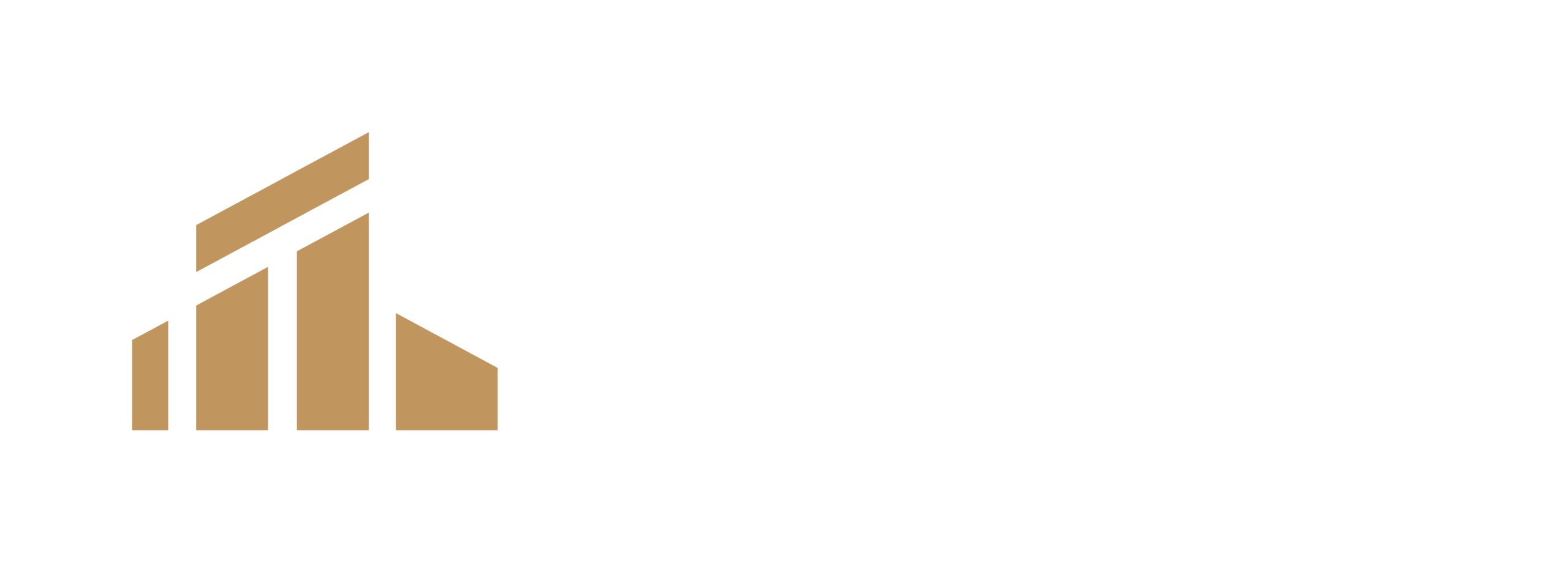 Turan Management Group 